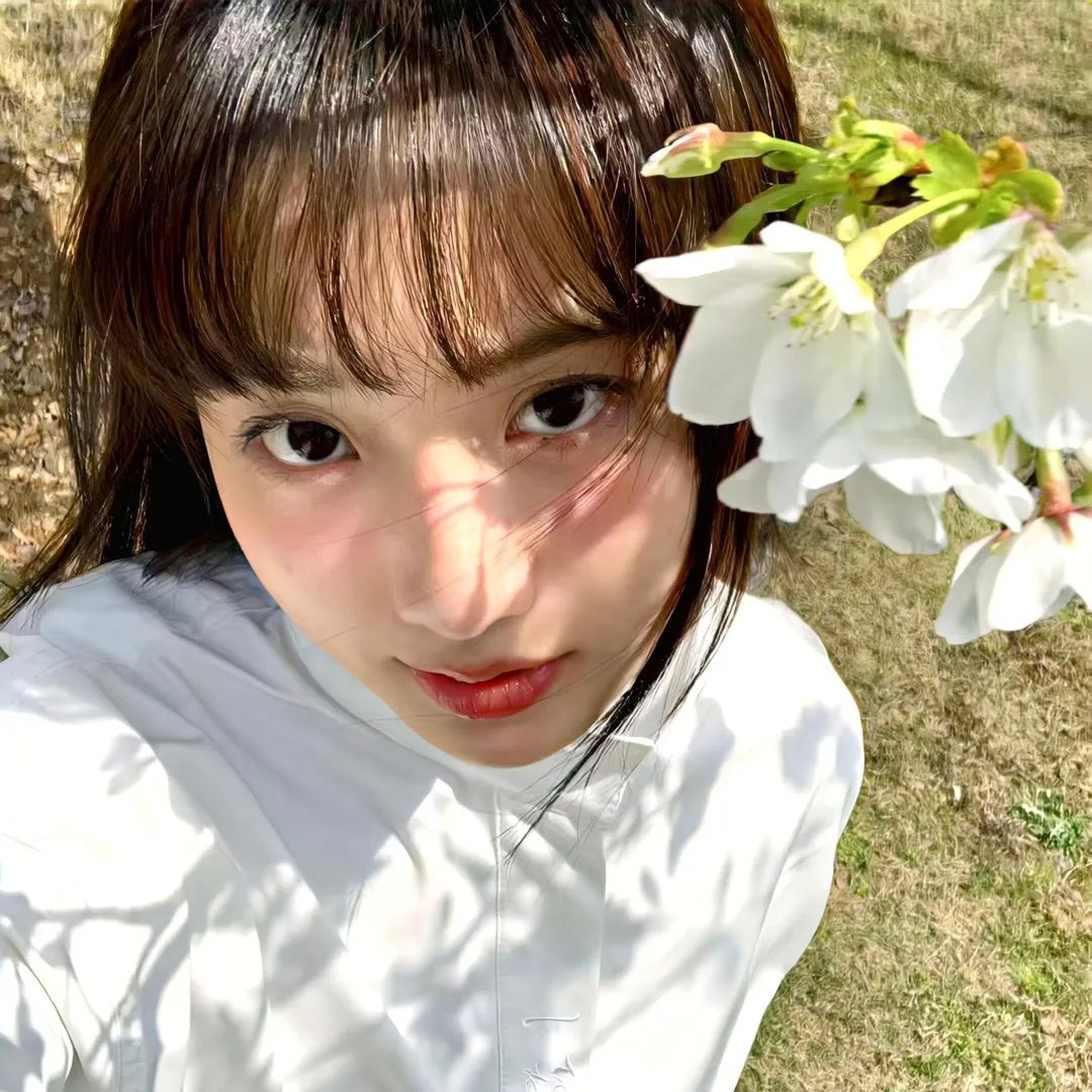 燃烧吧！火鸟